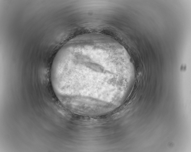 X0000090430772200708102004