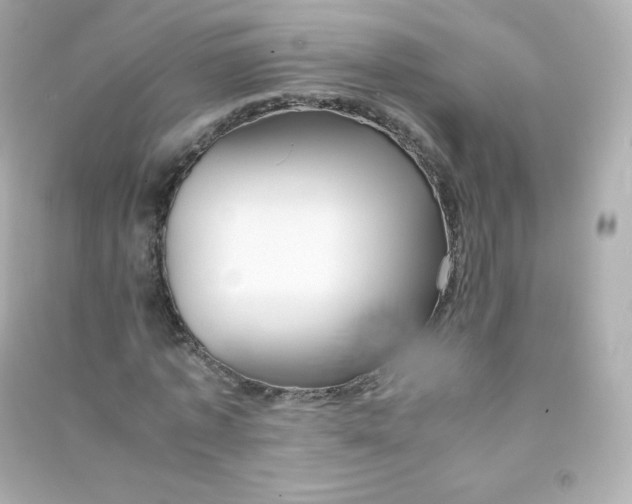 X0000090430773200708102004