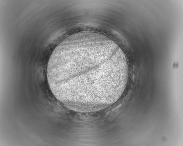 X0000090430774200708102004