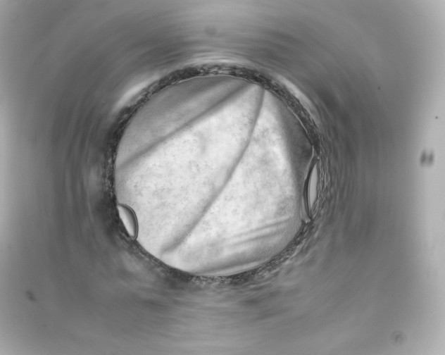 X0000090430775200708102004