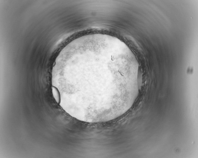 X0000090430776200708102004