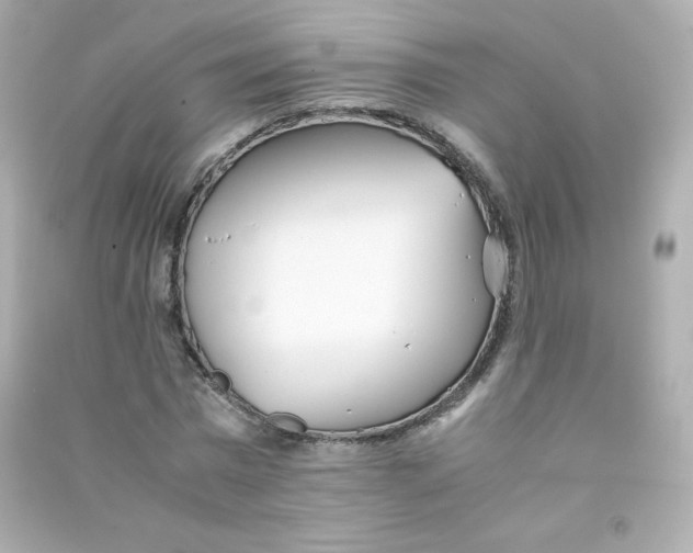 X0000090430777200708102004