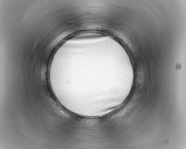 X0000090430778200708102004