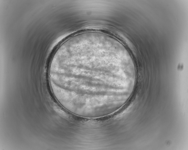 X0000090430779200708102004
