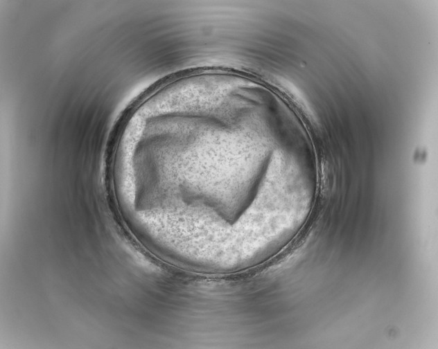 X0000090430780200708102004