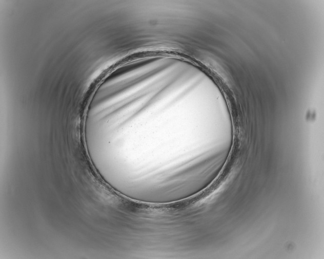 X0000090430781200708102004