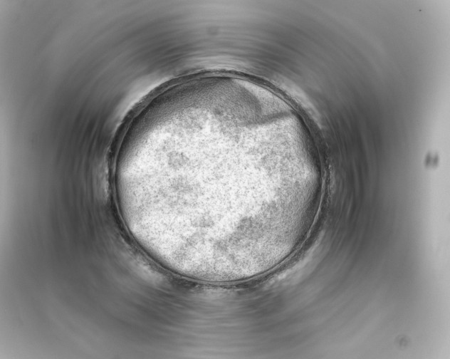 X0000090430782200708102004