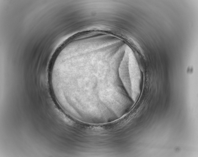 X0000090430784200708102004