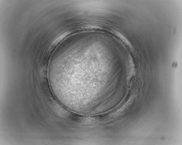 X0000090430785200708102004