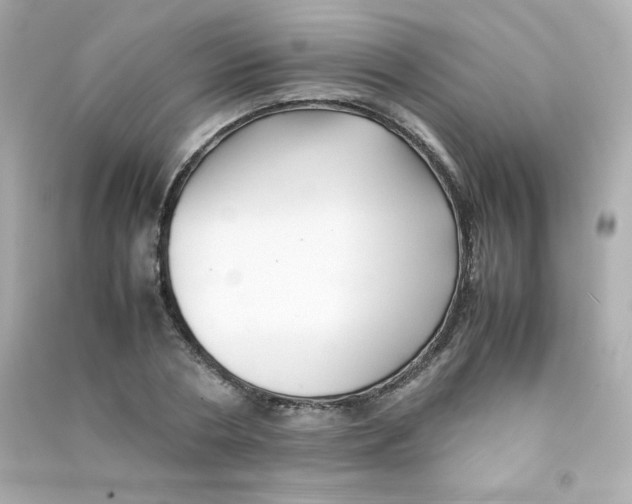 X0000090430786200708102004