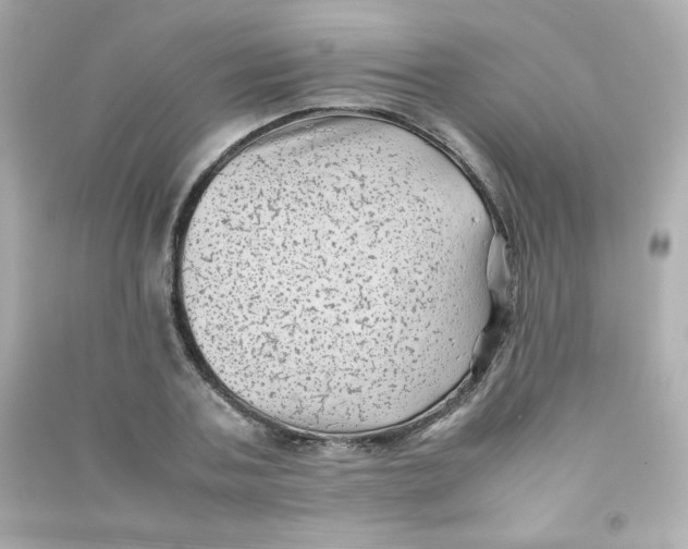 X0000090430787200708102004