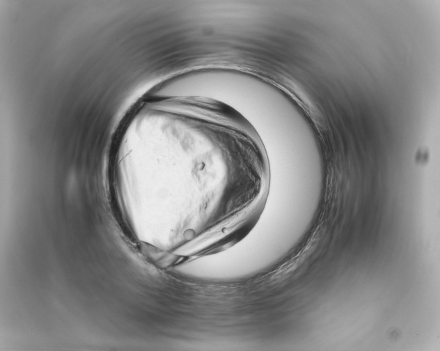 X0000090430788200708102004