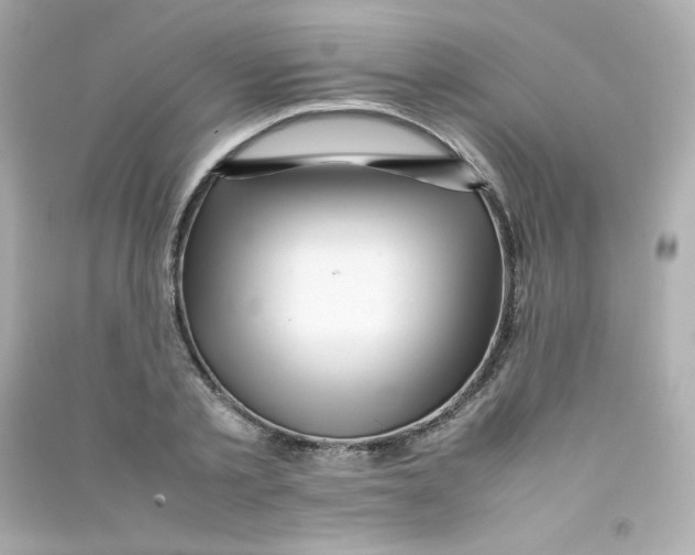 X0000090430789200708102004