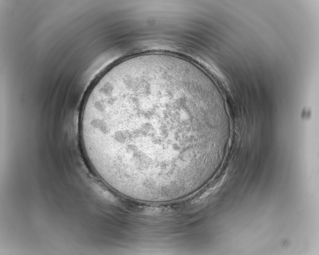 X0000090430790200708102004