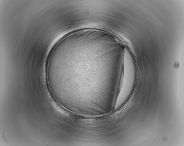 X0000090430792200708102004