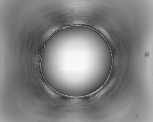 X0000090430793200708102004