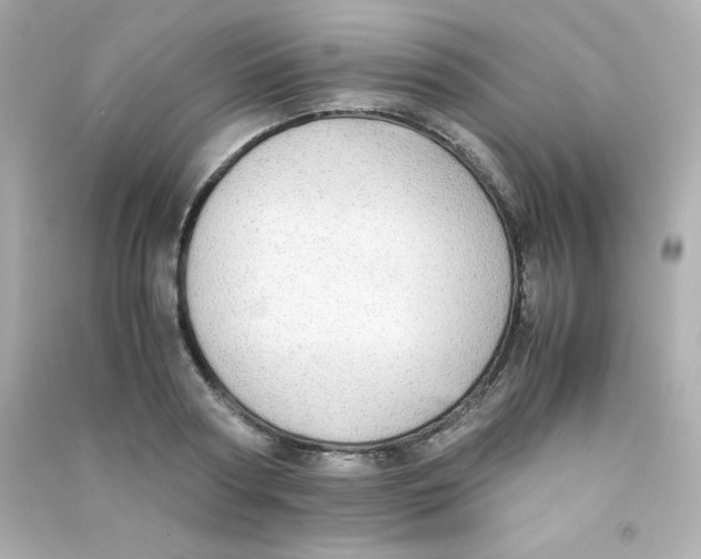 X0000090430794200708102004