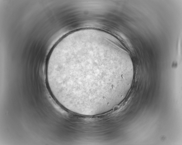 X0000090430796200708102004