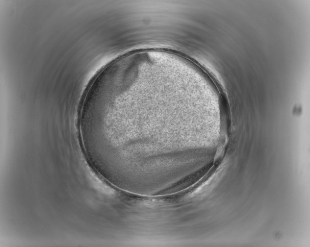 X0000090430797200708102004