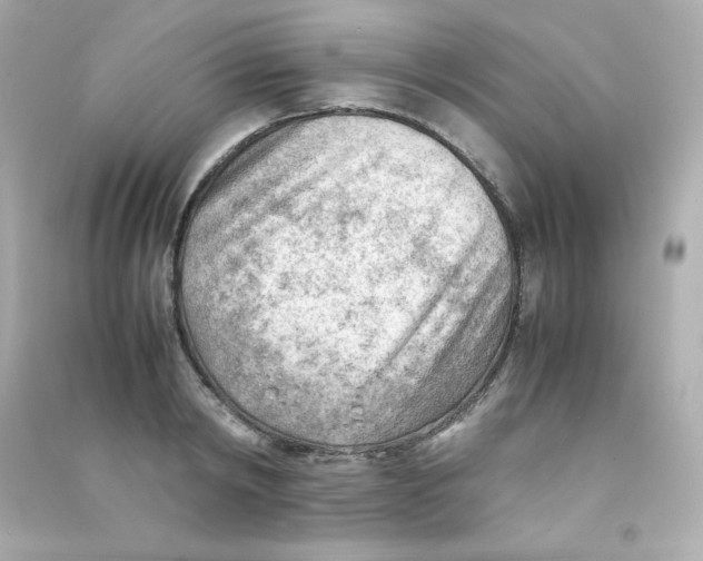 X0000090430798200708102004