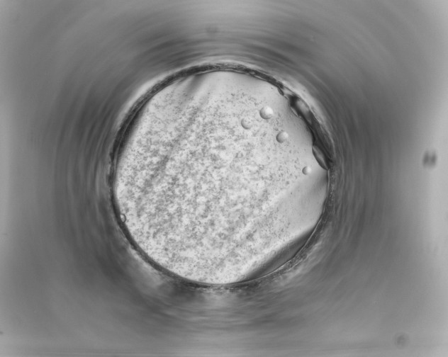 X0000090430799200708102004