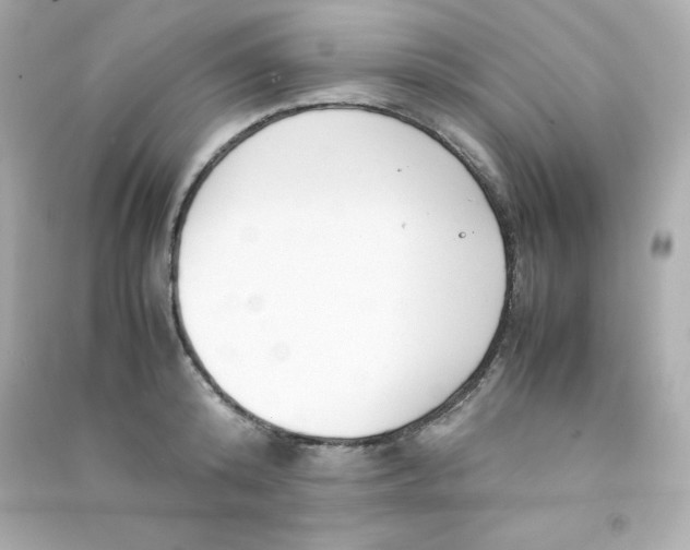 X0000090430800200708102004