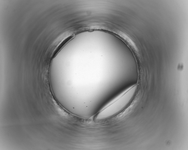 X0000090430801200708102004