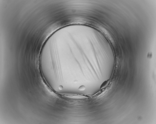 X0000090430802200708102004