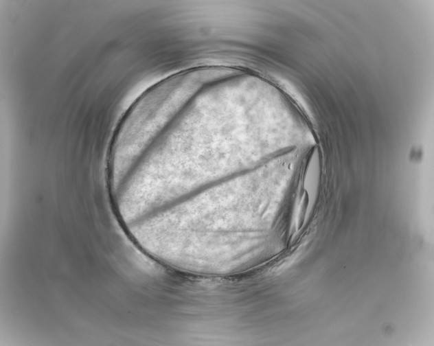 X0000090430803200708102004