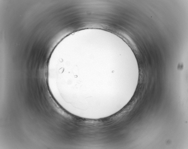 X0000090430804200708102004