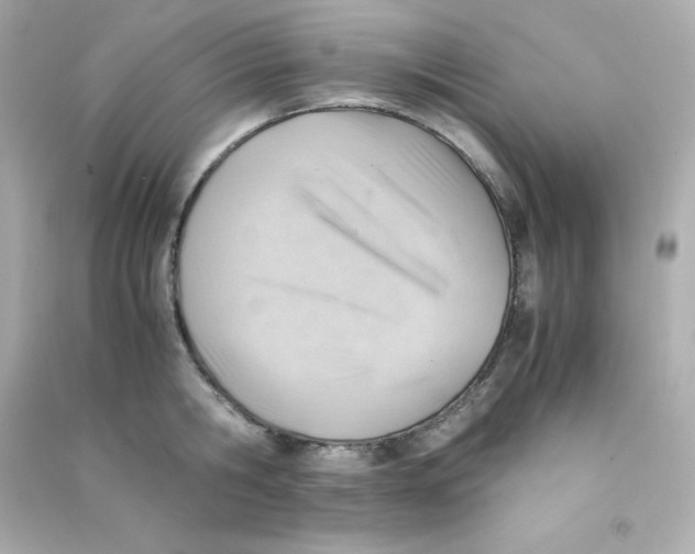 X0000090430806200708102004