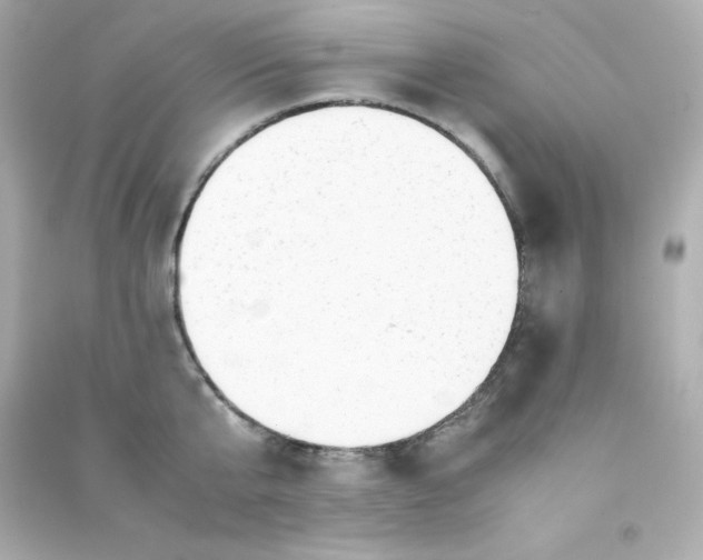 X0000090430807200708102004