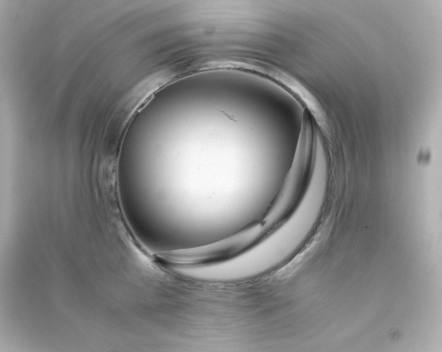 X0000090430809200708102004