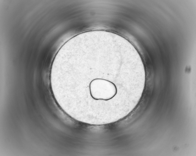 X0000090430810200708102004