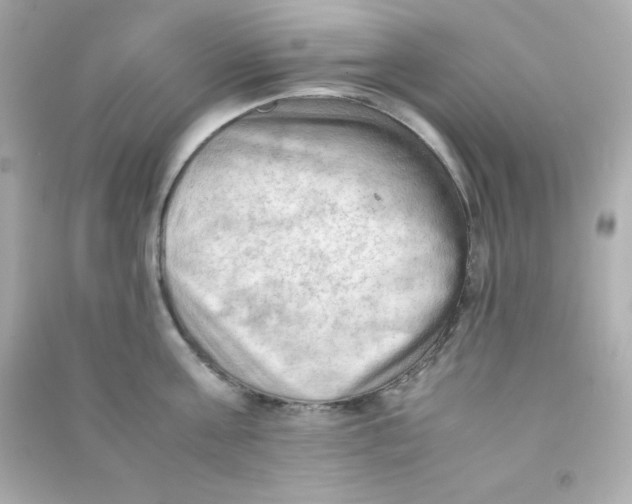X0000090430811200708102004