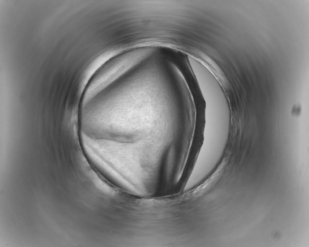 X0000090430812200708102004