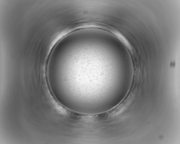 X0000090430813200708102004