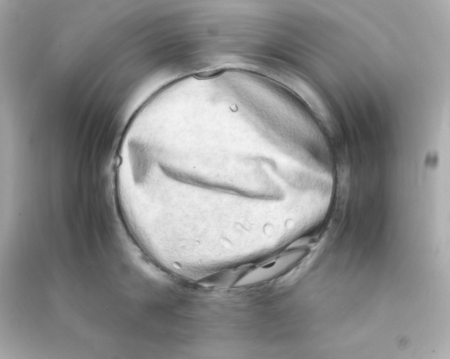 X0000090430814200708102004