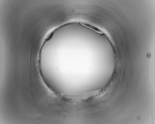X0000090430815200708102004