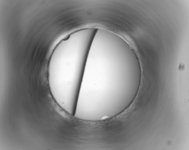 X0000090430816200708102004