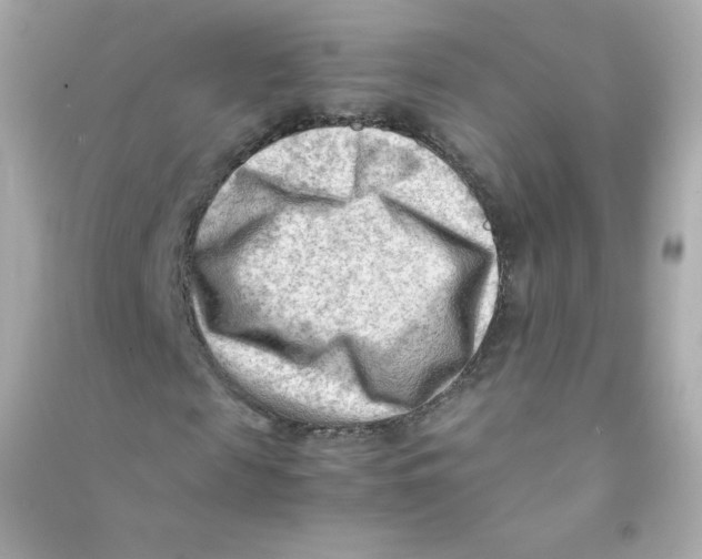 X0000090430817200708102003