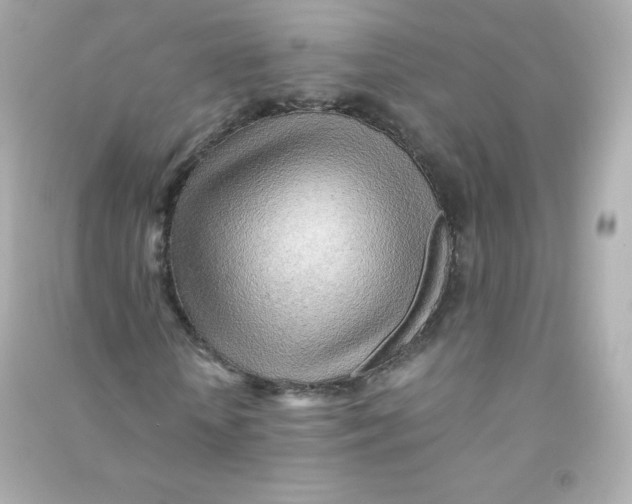 X0000090430818200708102003