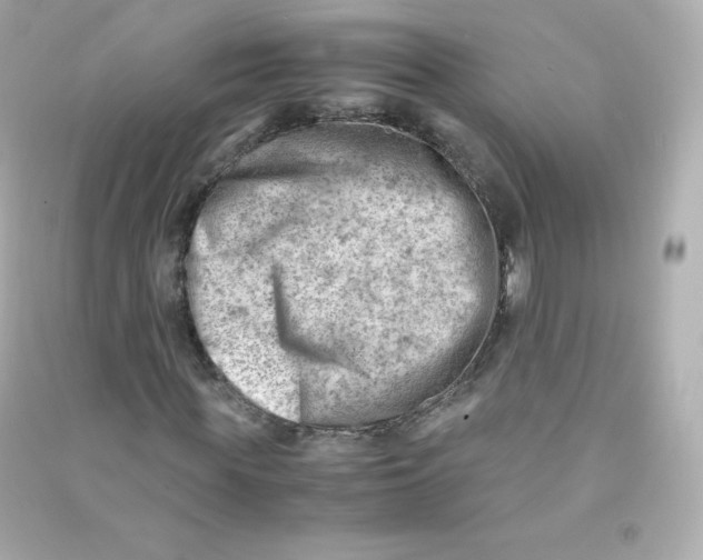 X0000090430819200708102003