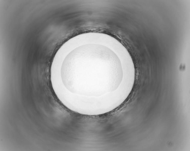 X0000090430820200708102003