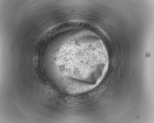 X0000090430821200708102003