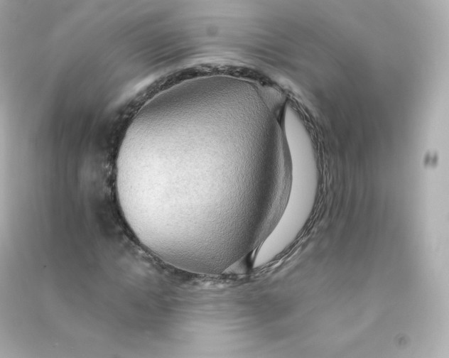 X0000090430822200708102003