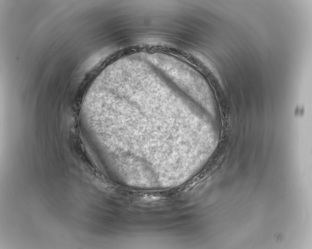 X0000090430823200708102003