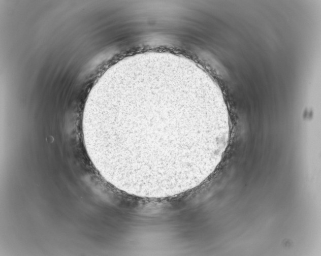 X0000090430824200708102003