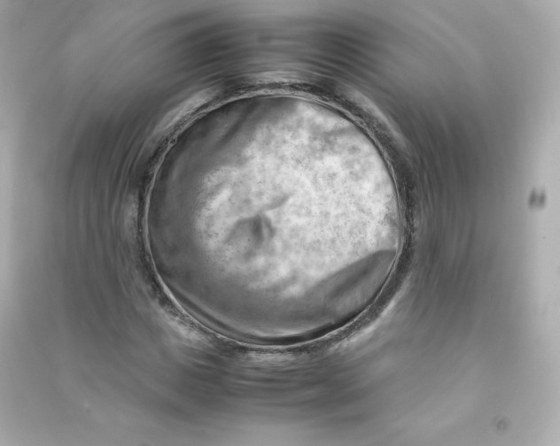 X0000090430825200708102003