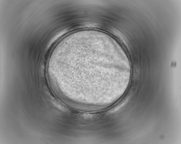 X0000090430827200708102003